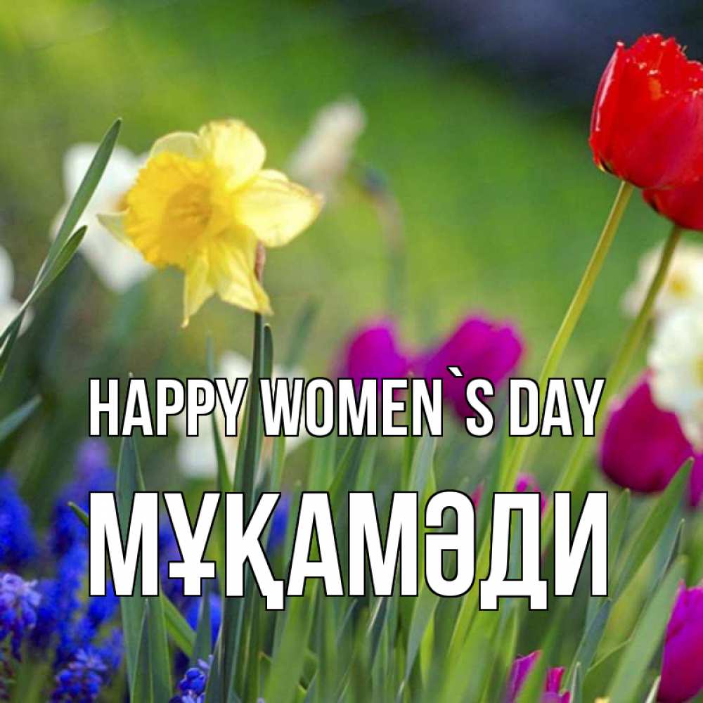 Greetings card с именем, МҰҚАМӘДИ happy women`s day международный женский день 3 Greetings with text for free download 